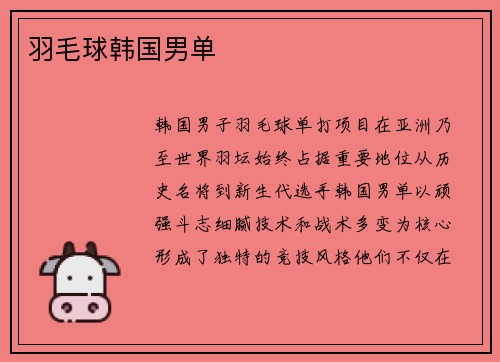 羽毛球韩国男单