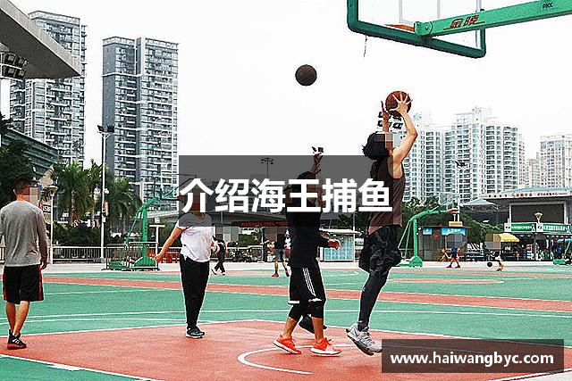 介绍海王捕鱼